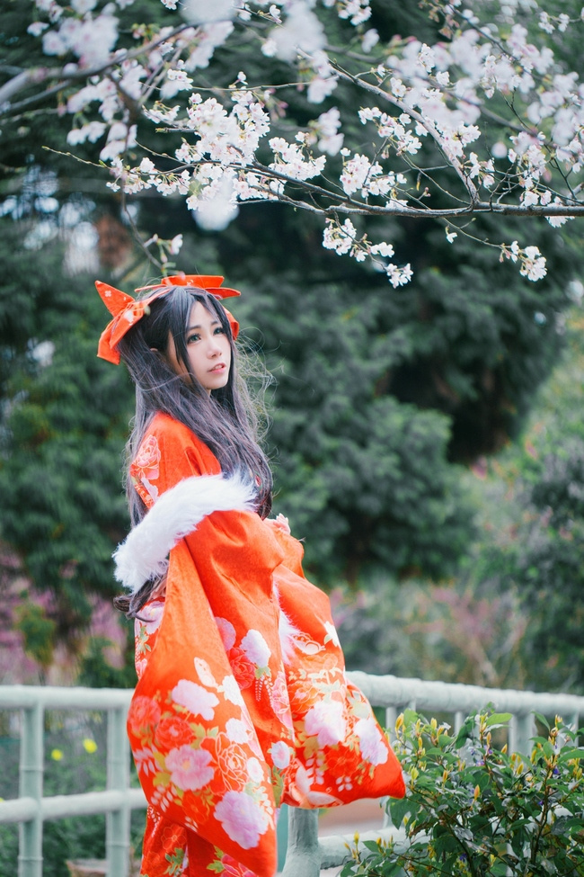 [cosplay]远坂凛 樱花 和服[二次元cos]