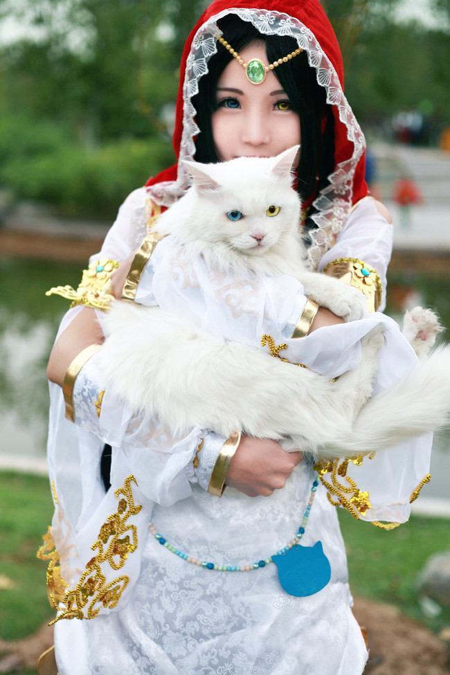 [cosplay]明教萝莉破军——喵~[二次元cos]